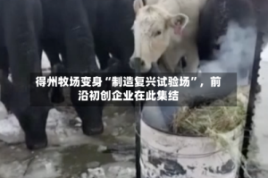 得州牧场变身“制造复兴试验场”，前沿初创企业在此集结