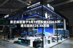 黑芝麻智能于5月13日斥资2264.5万港元回购128.38万股