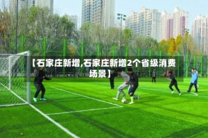 【石家庄新增,石家庄新增2个省级消费场景】