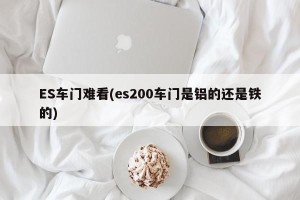 ES车门难看(es200车门是铝的还是铁的)