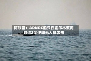 阿联酋：ADNOC船只在霍尔木兹海峡遭2架伊朗无人机袭击