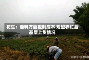 花生：油料方面控制成本 观望农忙后基层上货情况