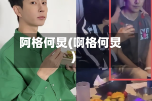 阿格何炅(啊格何炅)