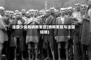 法国少女和纳粹军官(纳粹军官与法国姑娘)