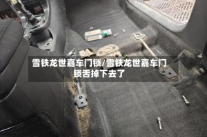 雪铁龙世嘉车门锁/雪铁龙世嘉车门锁舌掉下去了