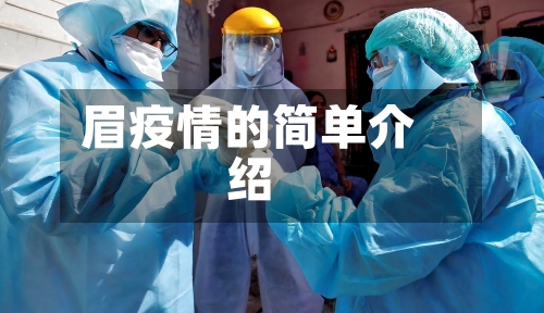 眉疫情的简单介绍-第3张图片