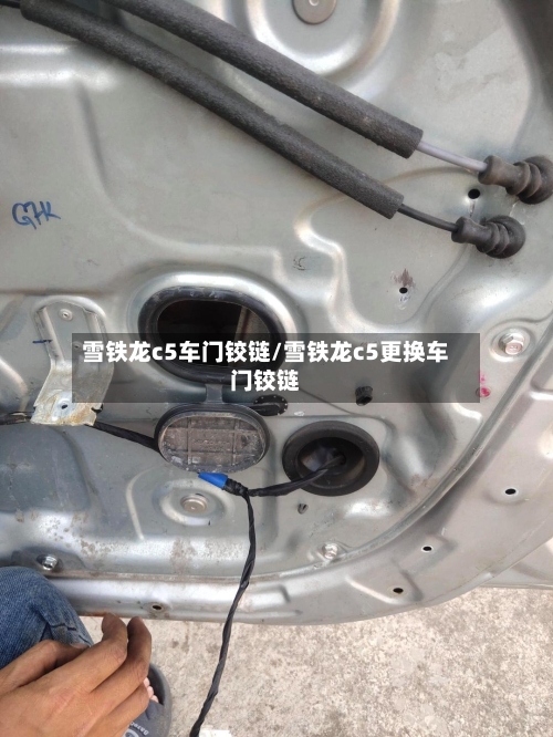 雪铁龙c5车门铰链/雪铁龙c5更换车门铰链-第1张图片