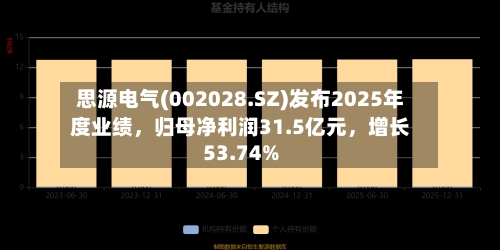 思源电气(002028.SZ)发布2025年度业绩	，归母净利润31.5亿元，增长53.74%-第2张图片