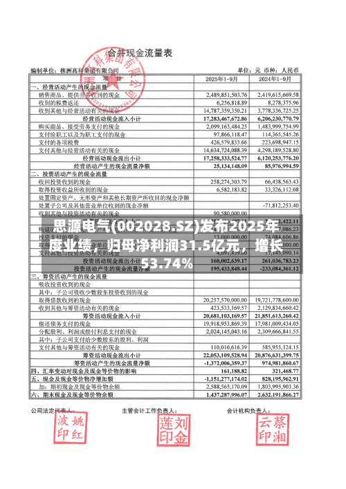 思源电气(002028.SZ)发布2025年度业绩，归母净利润31.5亿元，增长53.74%-第1张图片
