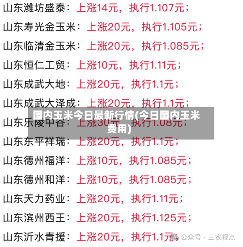 国内玉米今日最新行情(今日国内玉米费用)-第2张图片