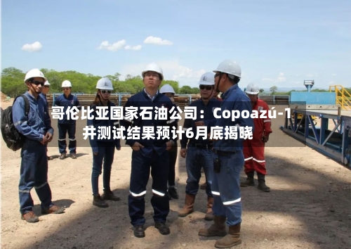 哥伦比亚国家石油公司：Copoazú-1井测试结果预计6月底揭晓-第1张图片