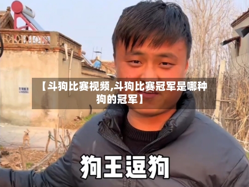 【斗狗比赛视频,斗狗比赛冠军是哪种狗的冠军】-第2张图片