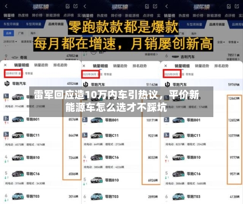 雷军回应造10万内车引热议，平价新能源车怎么选才不踩坑-第1张图片