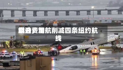 燃油费用飙升	，加航削减四条纽约航线-第1张图片
