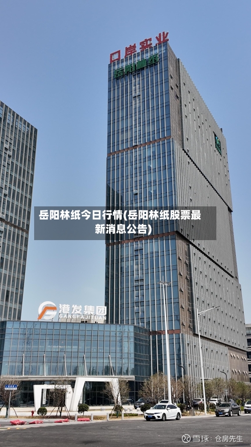 岳阳林纸今日行情(岳阳林纸股票最新消息公告)-第2张图片