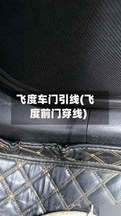飞度车门引线(飞度前门穿线)-第1张图片
