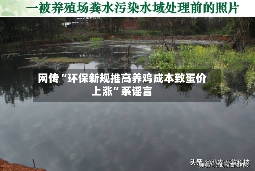 网传“环保新规推高养鸡成本致蛋价上涨	”系谣言-第3张图片