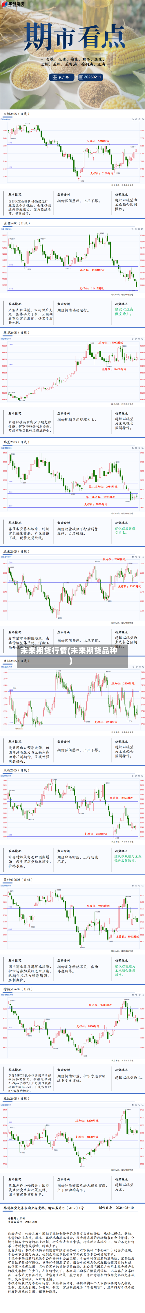 未来期货行情(未来期货品种)-第1张图片