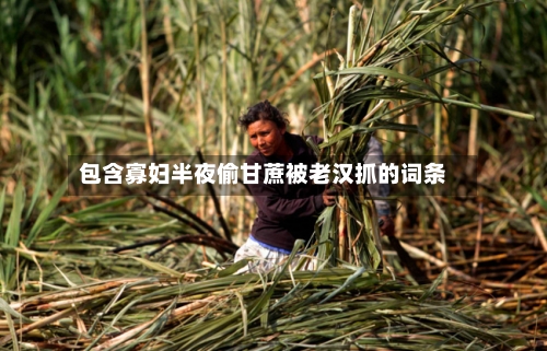 包含寡妇半夜偷甘蔗被老汉抓的词条-第2张图片