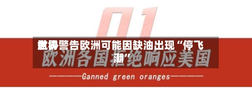 世界航协警告欧洲可能因缺油出现“停飞潮”-第1张图片