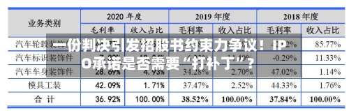 一份判决引发招股书约束力争议！IPO承诺是否需要“打补丁	”？-第2张图片