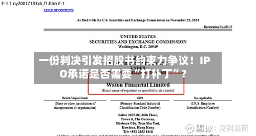 一份判决引发招股书约束力争议！IPO承诺是否需要“打补丁	”？-第3张图片