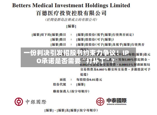 一份判决引发招股书约束力争议！IPO承诺是否需要“打补丁”？-第1张图片