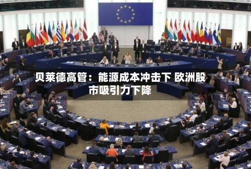 贝莱德高管：能源成本冲击下 欧洲股市吸引力下降-第3张图片