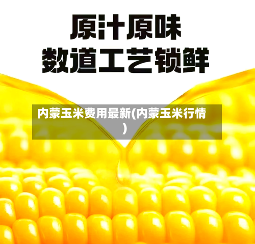 内蒙玉米费用最新(内蒙玉米行情)-第1张图片