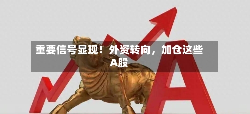 重要信号显现！外资转向，加仓这些A股-第1张图片