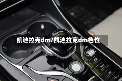 凯迪拉克dm/凯迪拉克dm档位-第3张图片