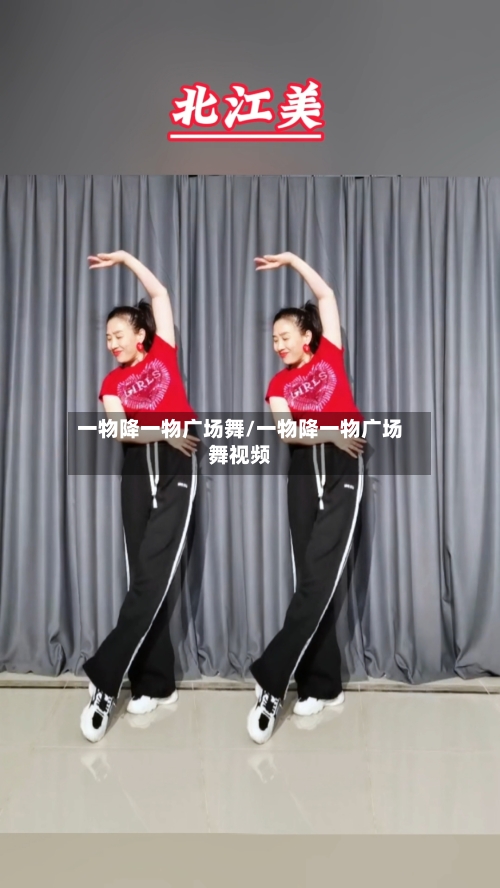 一物降一物广场舞/一物降一物广场舞视频-第1张图片