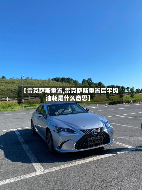 【雷克萨斯重置,雷克萨斯重置后平均油耗是什么意思】-第3张图片