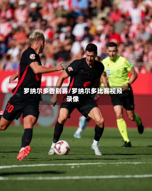 罗纳尔多告别赛/罗纳尔多比赛视频录像-第1张图片