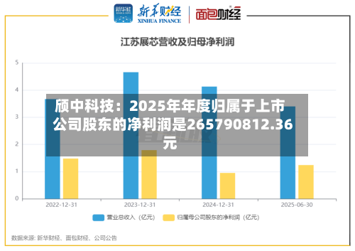 颀中科技：2025年年度归属于上市公司股东的净利润是265790812.36元-第1张图片