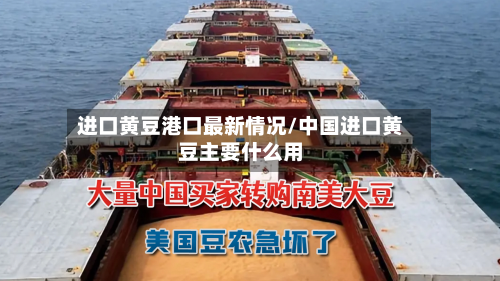 进口黄豆港口最新情况/中国进口黄豆主要什么用-第2张图片