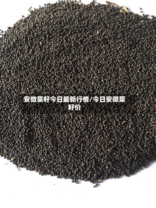 安微菜籽今日最新行情/今日安徽菜籽价-第1张图片