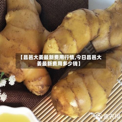 【昌邑大姜最新费用行情,今日昌邑大姜最新费用多少钱】-第3张图片