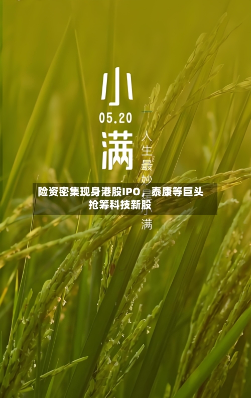 险资密集现身港股IPO，泰康等巨头抢筹科技新股-第1张图片