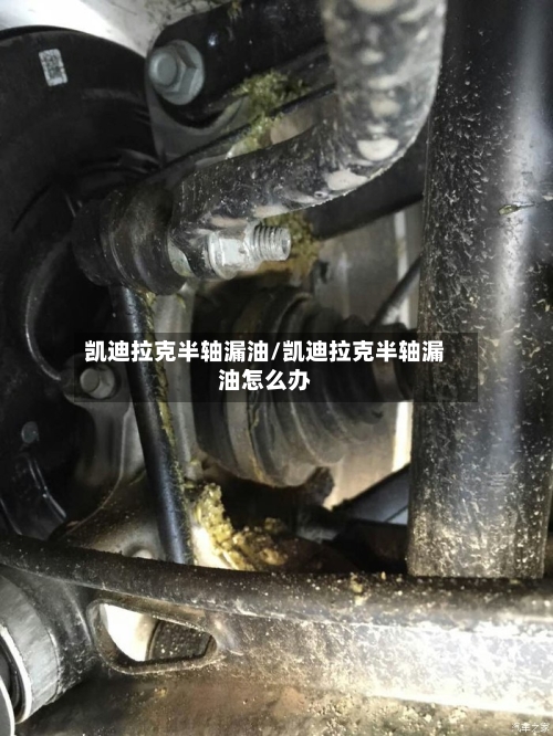 凯迪拉克半轴漏油/凯迪拉克半轴漏油怎么办-第2张图片