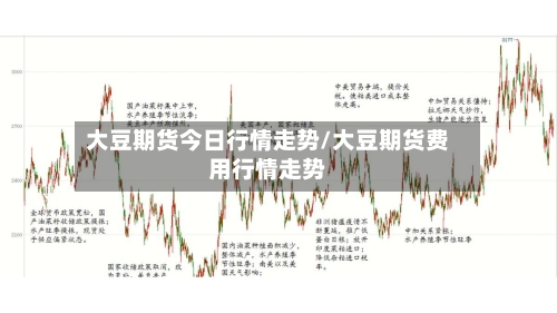 大豆期货今日行情走势/大豆期货费用行情走势-第1张图片