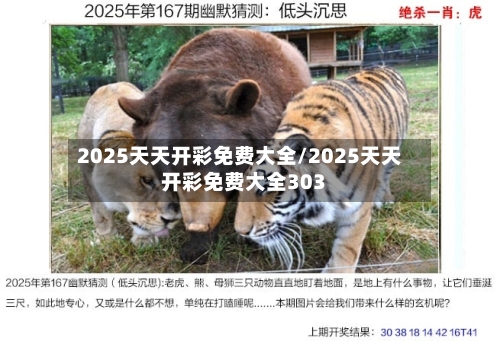 2025天天开彩免费大全/2025天天开彩免费大全303-第3张图片