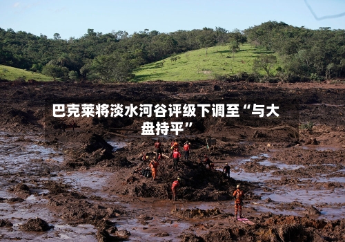 巴克莱将淡水河谷评级下调至“与大盘持平”-第2张图片