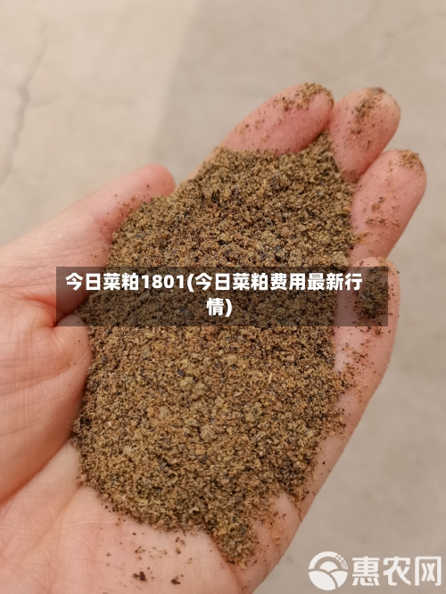 今日菜粕1801(今日菜粕费用最新行情)-第2张图片