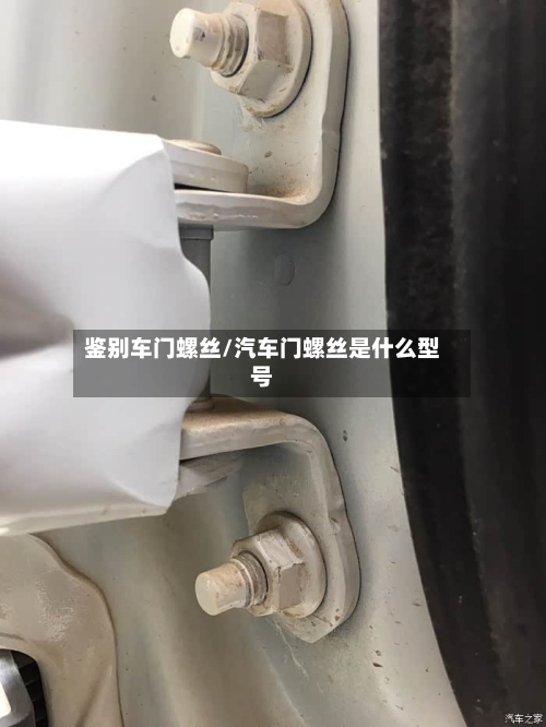 鉴别车门螺丝/汽车门螺丝是什么型号-第1张图片