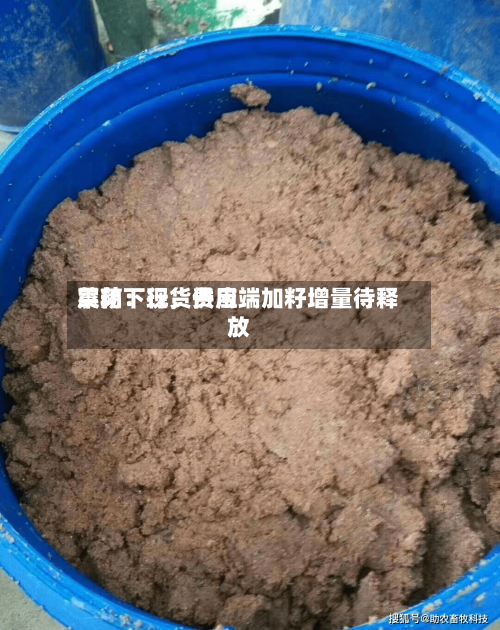 菜粕：现货费用震荡下行	，供应端加籽增量待释放-第2张图片