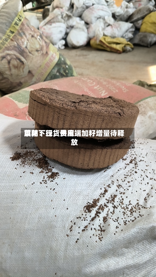 菜粕：现货费用震荡下行，供应端加籽增量待释放-第1张图片