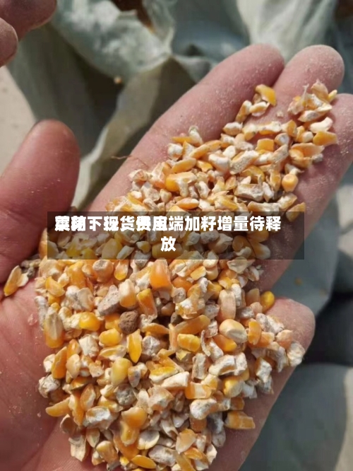 菜粕：现货费用震荡下行	，供应端加籽增量待释放-第2张图片