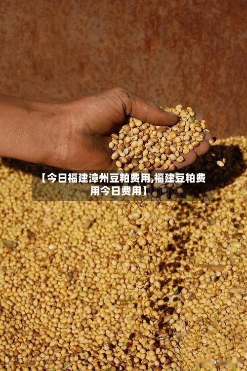 【今日福建漳州豆粕费用,福建豆粕费用今日费用】-第1张图片
