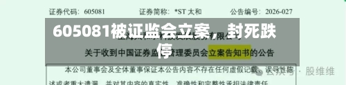 605081被证监会立案，封死跌停-第1张图片